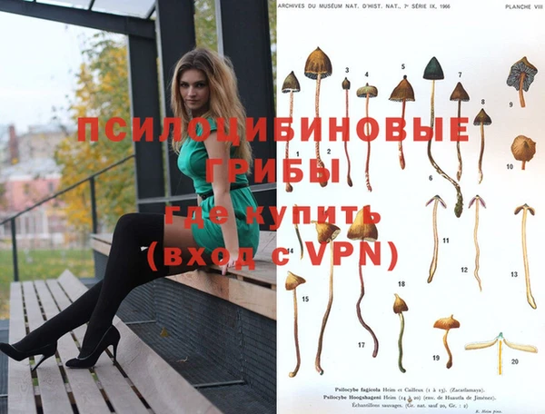 спайс Белоозёрский