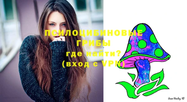 ALPHA-PVP Богданович