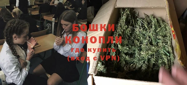 крисы Белокуриха