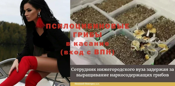 ALPHA-PVP Богданович