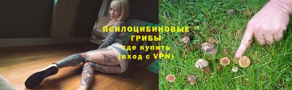 ALPHA-PVP Богданович