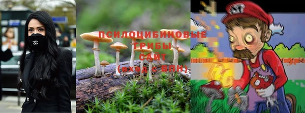 ALPHA-PVP Богородск