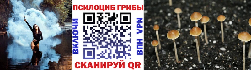 Галлюциногенные грибы MAGIC MUSHROOMS что такое наркотик Великие Луки