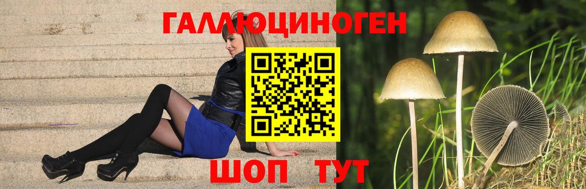 Великие Луки  Галлюциногенные грибы Psilocybe  Вход с VPN  Псилоцибиновые грибы GOLDEN TEACHER 