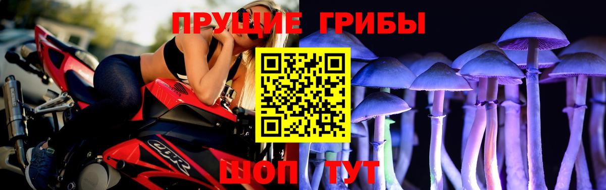 Псилоцибиновые грибы мухоморы Великие Луки