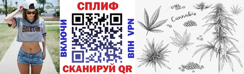 Бошки Шишки марихуана  omg как зайти  Великие Луки 